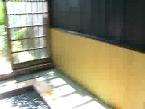 動画 筑後川温泉花景色