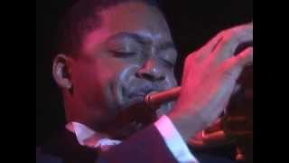Wynton Marsallis - Weather Bird Rag - Wynton Marsallis - 8/17/1990 (Official)