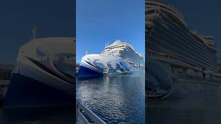 Goodbye Free at Sea and hello More at Sea! 👋🏻 #shorts #cruise