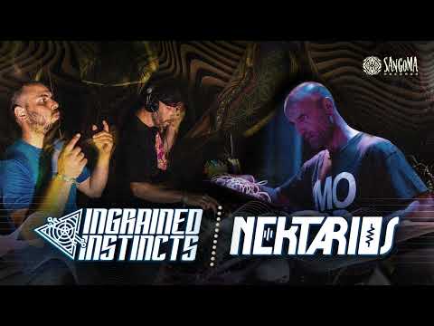 Ingrained Instincts versus Nektarios Live Set at Shattered Barriers, Neon Pulse Party in London 2024