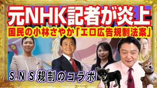 国民民主党が支持率２５％下落。大炎上「エロ広告規制法案」。ＳＮＳ規制は元ＮＨＫ記者の小林さやか。厚生労働省の困難女性支援法と同じ補助金スキーム｜みやわきチャンネル（仮）#2671Restart2671