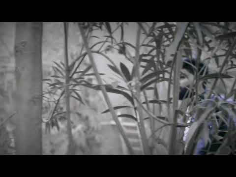 Arpit yadav Sad status