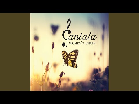 Six Choral Songs, Op. 15: III. Sosna