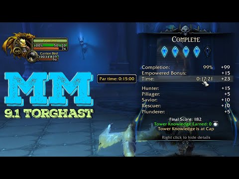 Shadowlands 9.1 Torghast | MM Hunter Crushing Layer 9