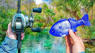 Fishing A Lagoon In The Middle Of Nowhere – It Was LOADED