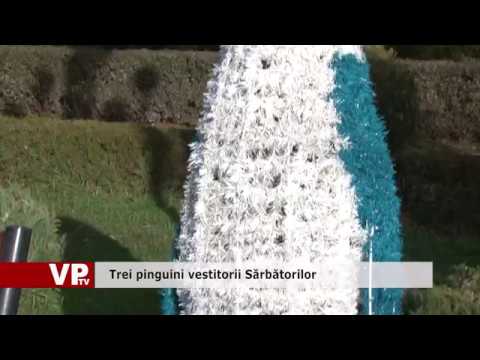 Trei pinguini vestitorii Sarbatorilor