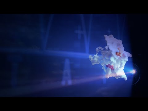 What is Generative Optogenetics?