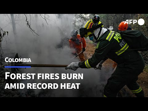 Forest fires burn in Colombia amid record heat | AFP