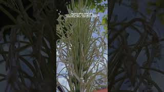 Download lagu 4 Juni 2025 mp3