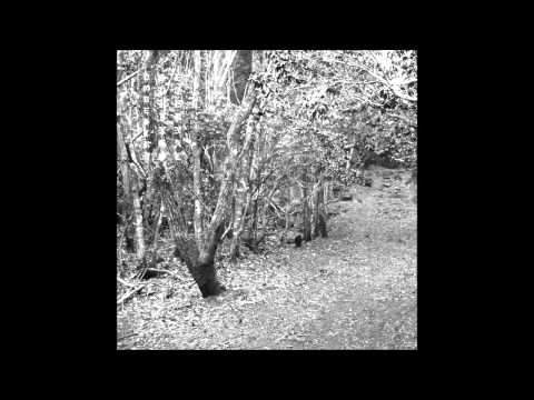 DØVES x WICCA PHASE SPRINGS ETERNAL - SIPPIN