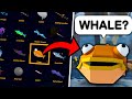 IMPOSSIBLE Guess The FISH CHALLENGE! (Fisch)