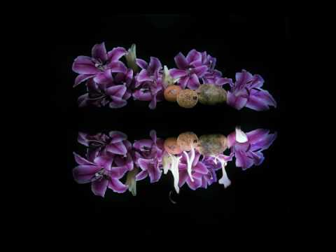 A Lot Like Birds "Good Soil, Bad Seeds"