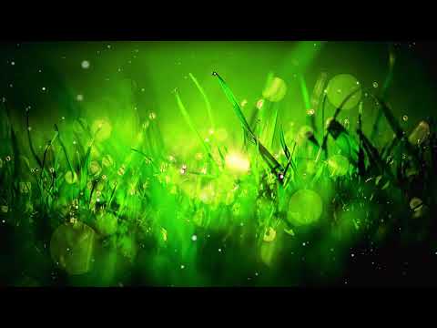 LANY - Thru These Tears (ZYN Remix)