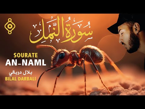 Surah An-Naml 🐜 Complete, soothing recitation 😴 - Bilal Darbali