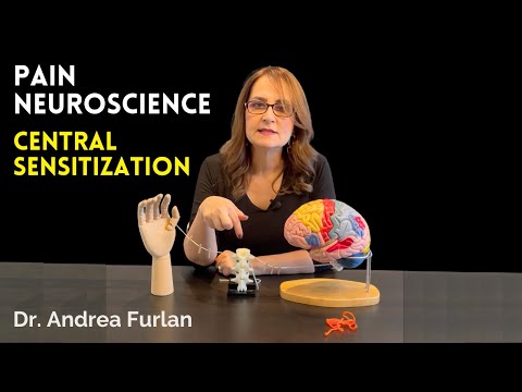 #220 Central Sensitization Explained With Cool Models!