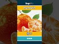 mandarin - 橘子 video thumbnail