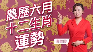 十二生肖農曆六月運勢 | 屬X的朋友今個月人際關係出現問題 | 屬X的朋友今個月有利致富 好好把握合適投資理財機會 | 屬X的朋友今個月桃花運待別旺 小心出現三角關係