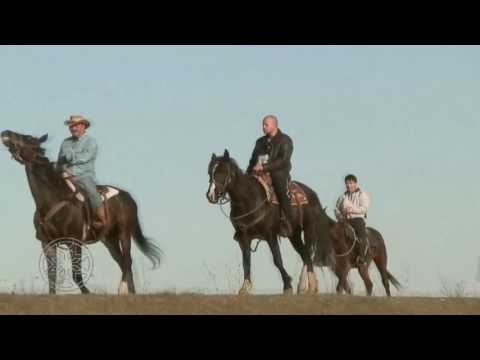 Федор Емельяненко Fedor Emelianenko is back HIGHLIGHT NEW