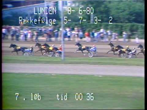 Copenhagen Cup 1980   Ideal Du Gazeau