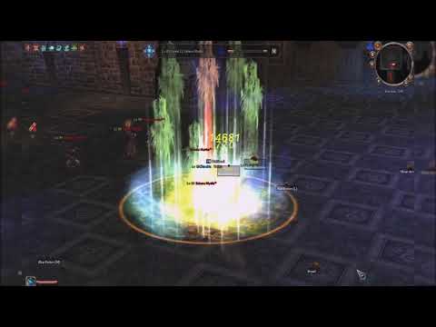 My Shaman lvl up her Pet in Grotto2/ Metin2 Europe