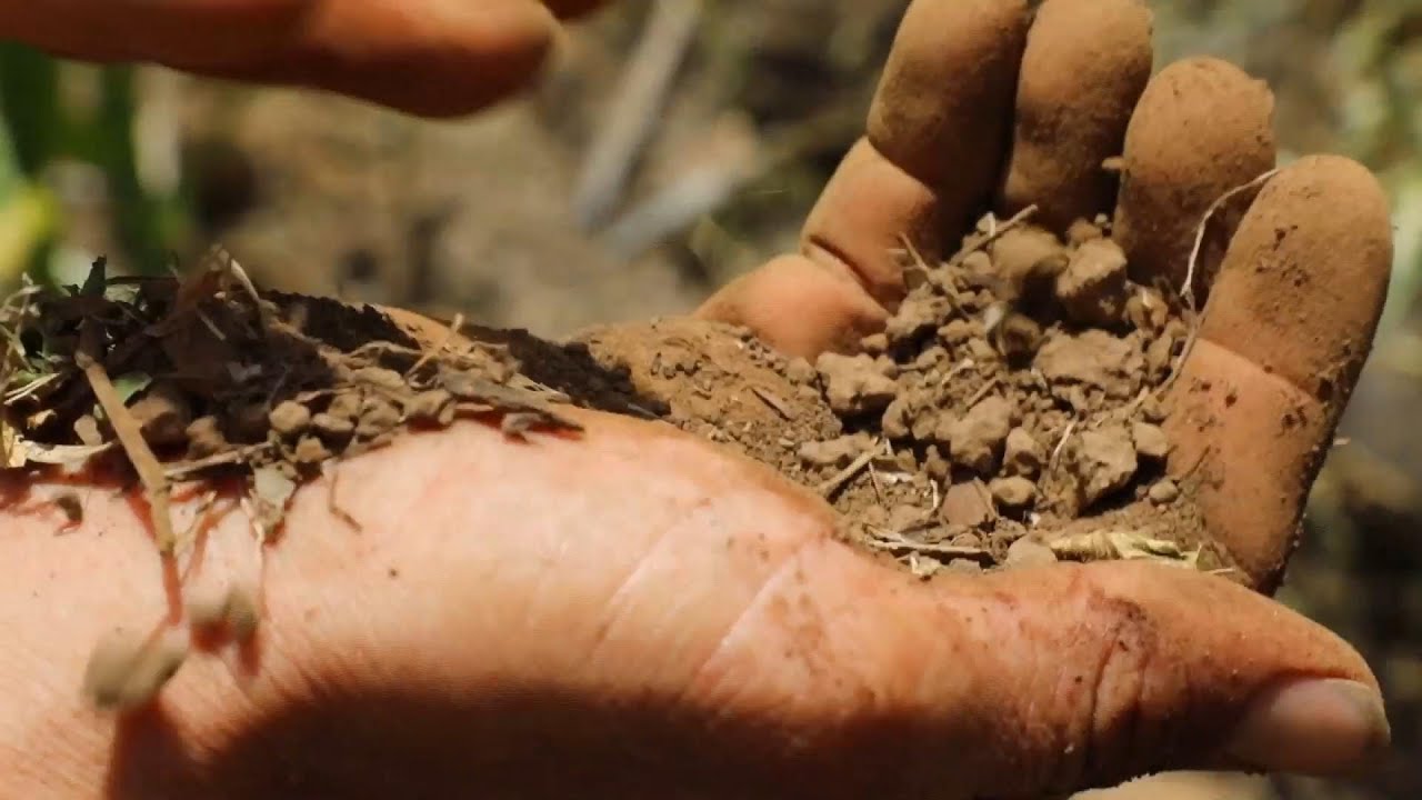 Climate change degraded land is forcing migration