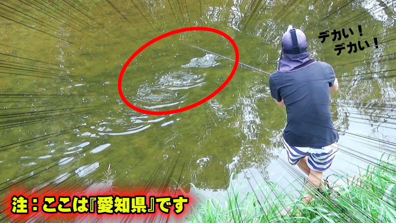 『愛知県』にこんな場所があったの！？どこを見てもバス！バス！バス！