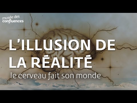 Le cerveau fait son monde : l'illusion de la réalité