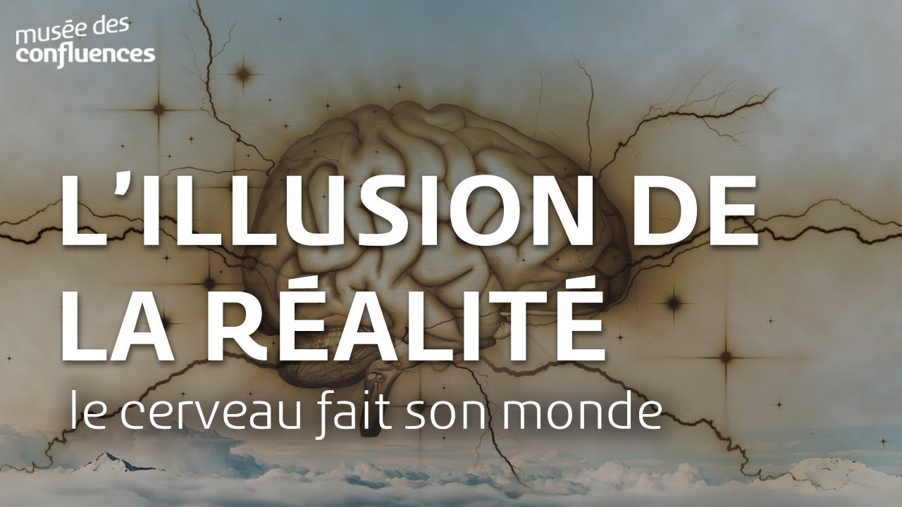 Le cerveau fait son monde : l'illusion de la réalité