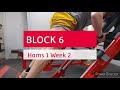DVTV: Block 6 Hams 1 Wk 2