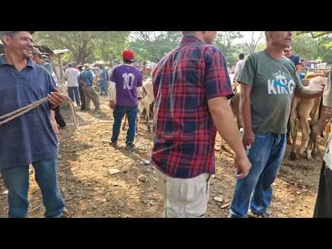 Nueva Guadalupe, San Miguel, El Salvador, miércoles 29 de abril 2026 