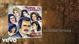 Vicente Fernández - Mujeres Divinas (Cover Audio)