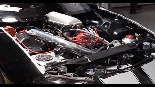 LS Hi-Ram Modular Intake System - video thumbnail 3
