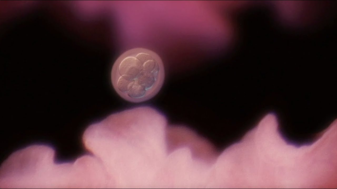 IN UTERO Official Trailer