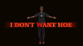 I Don't Want Hoe Music Video
