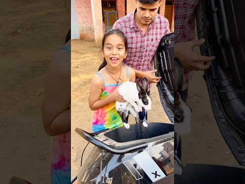 amaira n rabbit ko bachanya #thegeetagurjar #shorts￼