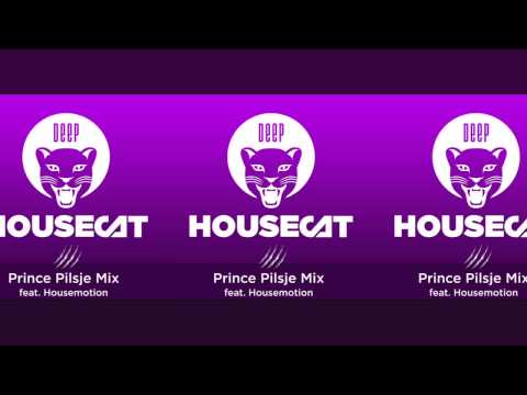 Deep House Cat Show - Prince Pilsje Mix - feat. Housemotion
