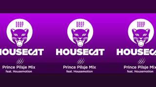 Deep House Cat Show - Prince Pilsje Mix - feat. Housemotion