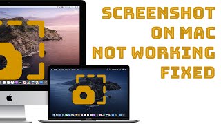 Screenshot not not working in Mac, How to take a screenshot