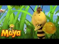 Mother Courage Maya The Bee Episode 25