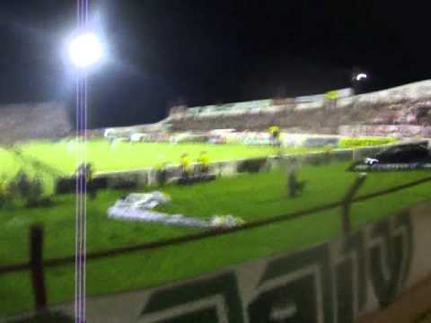 EU COMEMORANDO GOL DO PALMEIRAS CONTRA O LINENSE PAULISTÃO 2012