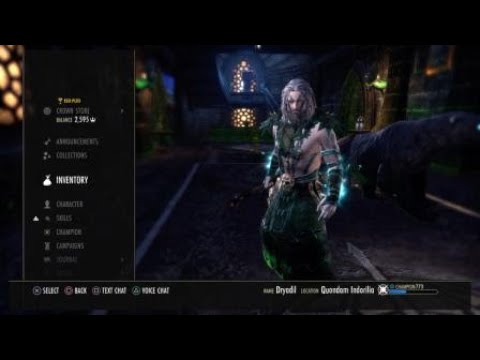 ESO Magicka Warden PvE build (utility, easy, no psijic skills)