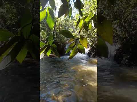 CACHOEIRA DA PRATA EXUBERANTE. #travel #waterfall
