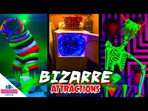 Bizarre Attractions Meow Wolf