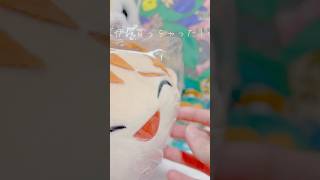 【忍たま】久々にアニメイトに行ったら忍たまコーナー拡張されてた！！#忍たま #忍たま乱太郎 #善法寺伊作 #購入品紹介 #推し活