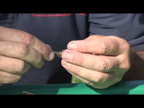 Angling Basics with Shakespeare Starting Coarse Fishing Part 17 - Method Feeder on lakes.m