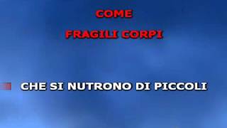 Francesco Sarcina - Nel tuo sorriso  (by karaoke-canta)