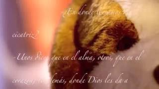 El marido de la peluquera   Pedro guerra