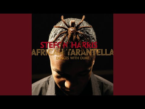 From The Queen Suite: The Single Petal Of A Rose