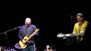 One Time One Night - Los Lobos