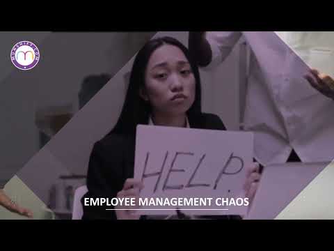 Munshify HRMS: One Tool for All Your HR Needs! | Munshify HRMS